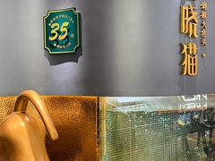 -黄晓猫剁椒大鱼头(海岸城店)
