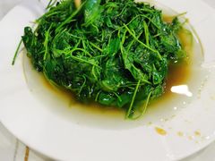 -海金滋(陕西南路店)