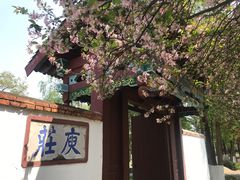 -庾园
