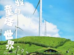 -仰天湖大草原