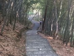 -百杖潭景区