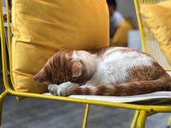 -五进制 Coffee Shop