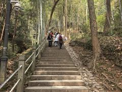 -灵顺寺