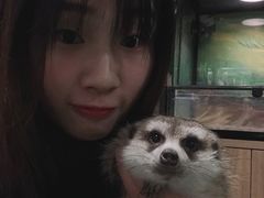 -藦茜花园宠物主题亲子互动体验馆(国顺东路店)
