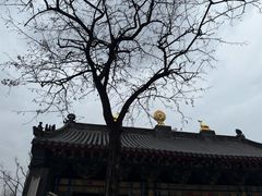 -护国法轮寺