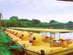 -朝阳公园游乐园