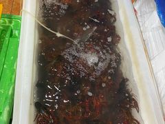 -胶东海鲜大排档(北太平庄店)