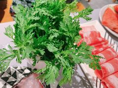 茼蒿-蜀九香火锅(九眼桥店)