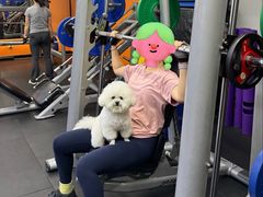 -ALIV WELLNESS运动健身(浦东大道店)