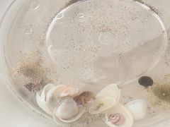 -嵊泗基湖沙滩