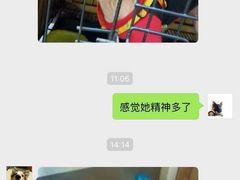 -伟伟宠物医院·CT影像中心·瑞派犬猫综合性门诊(汉口总院)