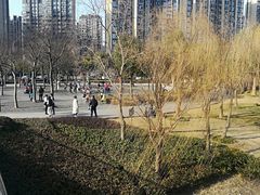 -南翔镇银翔湖公园