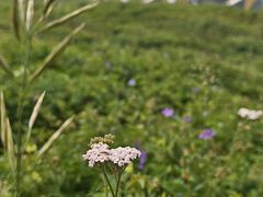 -新疆那拉提国家旅游度假区
