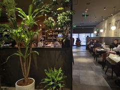 -西堤牛排(北京国瑞店)