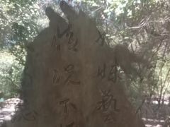 -文瀛公园