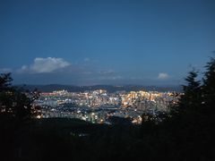 -长虫山生态公园风景林