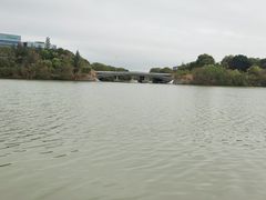 -华侨城湿地公园