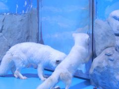 -顺德南宏海立方海洋公园