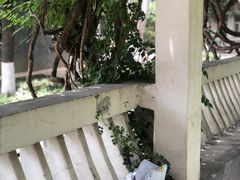 -西安外国语大学(雁塔校区)