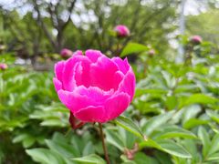 -白塘生态植物园