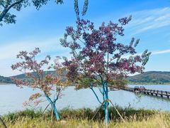 -南北湖风景区