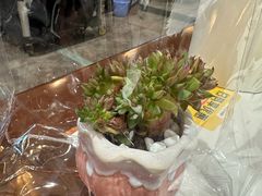 -鱼痴渔醉·食鲜集(月亮湾店)