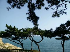 android_upload_pic-八大关景区