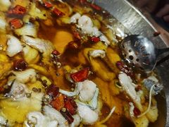 -雲蜀龙阁·金牌水煮鱼(方庄店)