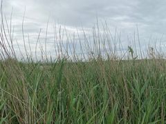 -野鸭湖国家湿地公园