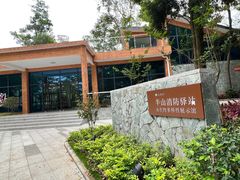 -南宁良凤江国家森林公园