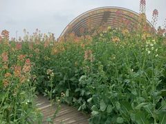 -中国天府农业博览园