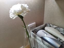 -银座Calla