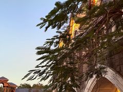 -深圳东部华侨城茵特拉根酒店