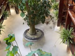 -三只耳火锅(宽窄巷子店)