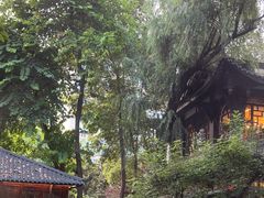 -大妙火锅·非物质文化遗产(东湖公园店)