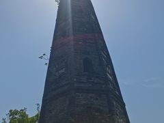 -上海佘山国家森林公园天马山园