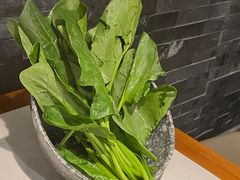 菠菜-哥老官重庆美蛙鱼头(五角场合生汇店)