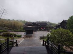 -大唐贡茶院