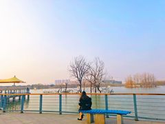 -灞河西岸滨河公园