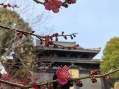 -句容茅山景区
