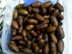 蚕蛹-二红烧烤排骨串(麦岛店)