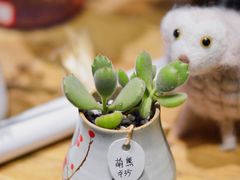 -杭州街角花屋花店(闻堰店)