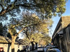 -桂香村(护国寺店)