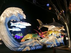 -北戴河集发农业梦想王国