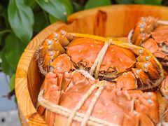 -乡乐园蟹庄·阳澄湖农家乐