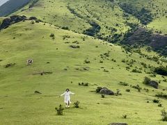 -大姆山草场