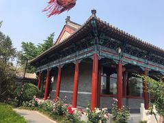 -有喜胶东小馆(超极合生汇太申祥和店)