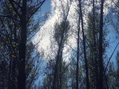 -百里山水画廊