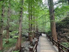 -国家植物园南园