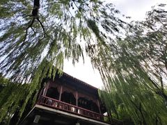 -环城公园